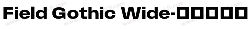 Field Gothic Wide字体转换